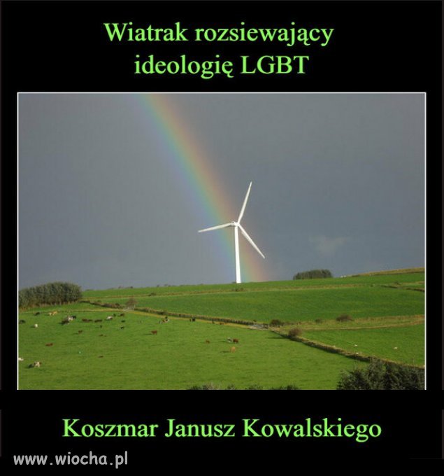 Kowalskiemu zdechła by ostatnia szara komórka...