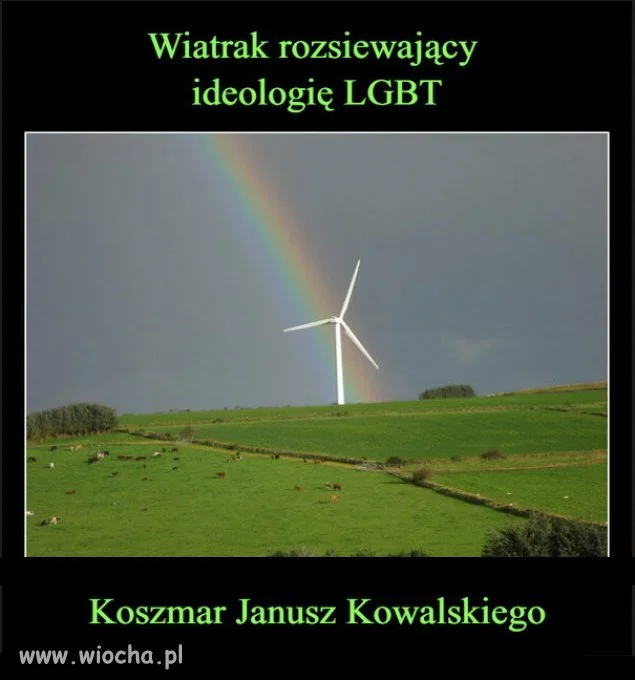 Kowalskiemu zdechła by ostatnia szara komórka...