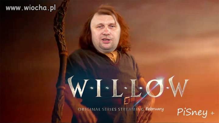 Willow, coś ty z sobą zrobił ?