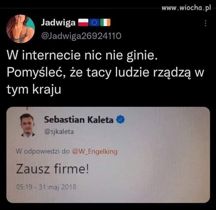 Pisowcy nie nie chcą zausz firmę oni zauszyli mafie