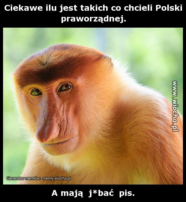 Ciekawe ilu jest takich co chcieli Polski