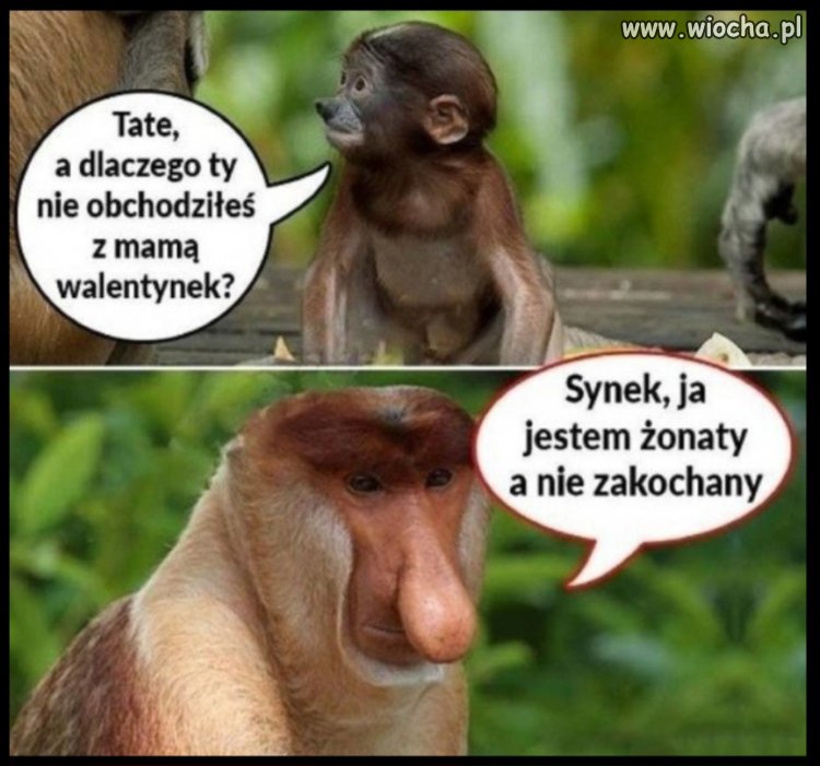 Małżeństwo i miłość, to zazwyczaj nie  są tym 