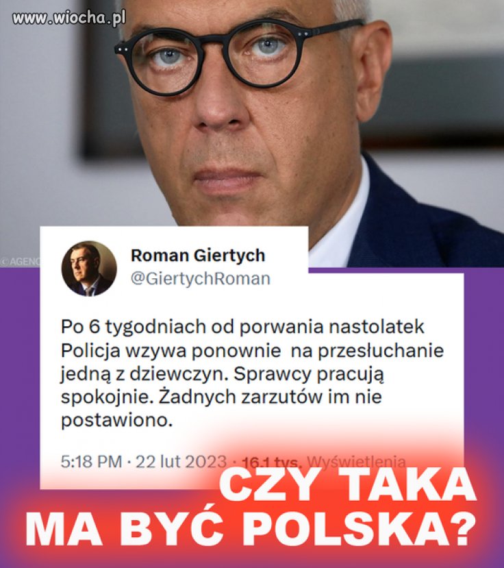 Pisowska milicja