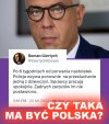 Pisowska milicja