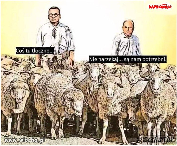 Nadzwyczajna narada na Nowogrodzkiej...