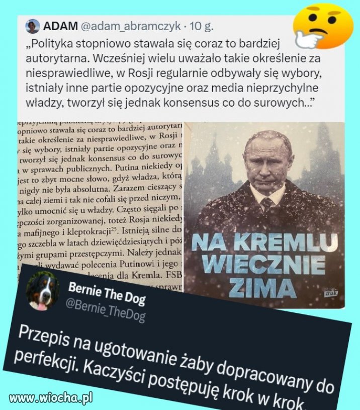 Przepis na ugotowanie żaby 