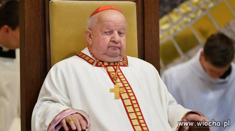 I co się dziwisz... jak dobrze karmią