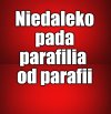 Ksiądz podglądacz, kręcił filmy w męskiej toalecie