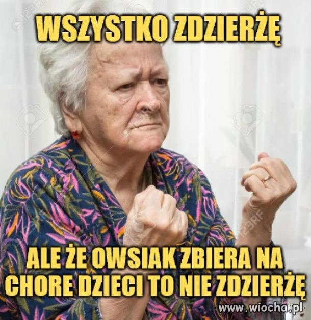 Typowy katolik pisowski 