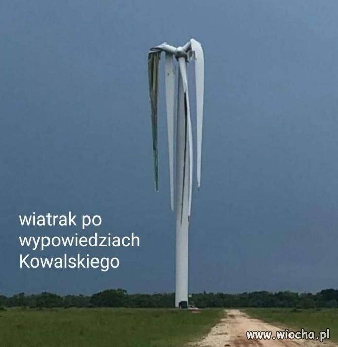 Normalnie skrzydła opadają