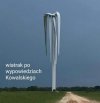 Normalnie skrzydła opadają