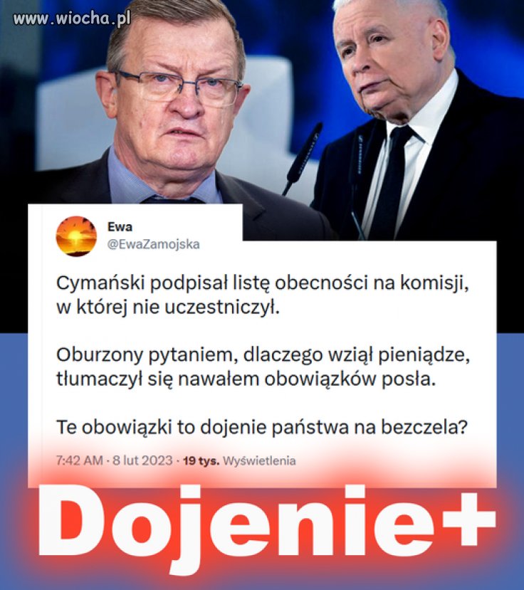 Nawał obowiązków usprawiedliwia dojenie
