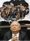 A po śmierci harem z 72 dziewicami