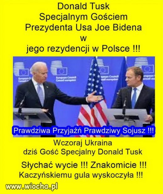 Co na to płatne trolle propagandy PiSu?
