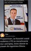 Teraz wszyscy zlodzieje i oszusci, Zjednoczeni w Prawicy...