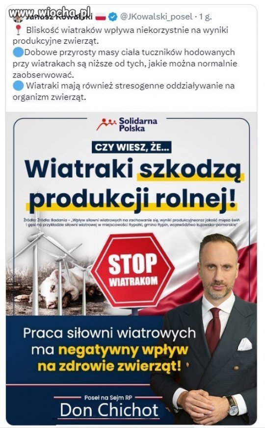 Don Chichot   z solidarnej Polski
