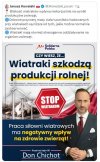 Don Chichot   z solidarnej Polski