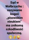 Czyli już spokojnie można mówić do PiSowskich nieuków że są PiSowskimi nieukami.