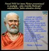 Potwierdzam