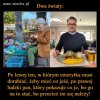 Władza PiSu żyje w innej rzeczywistości...