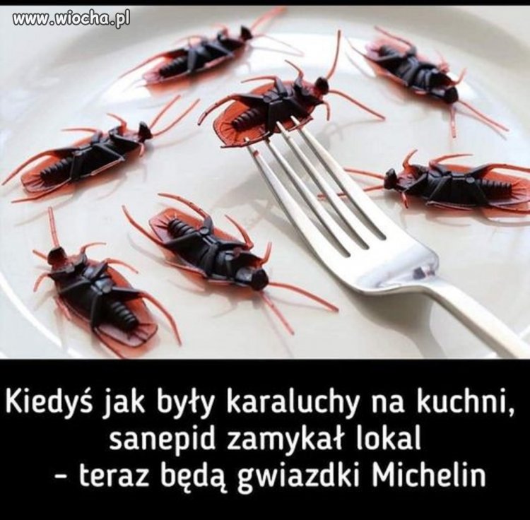 Dziwne te czasy
