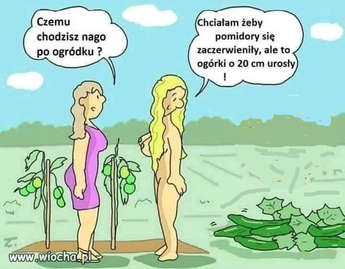 Tak to sobie wymyśliła