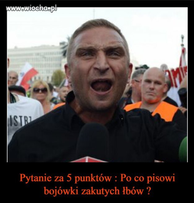 Już odpowiadam, po to samo po co Hitler miał NSDAP.