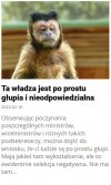 PiS w ogóle okazało się partią miernot.