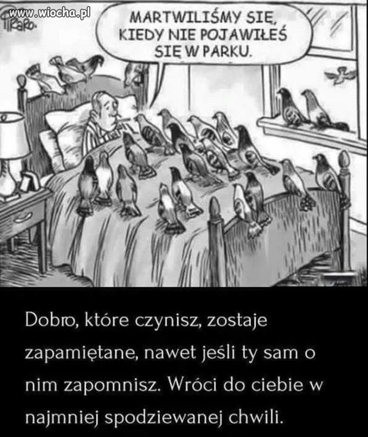 Warto pamiętać