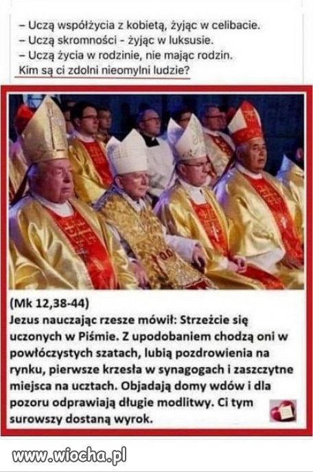Niby proste pytania a pozostają bez logicznej odpowiedzi!