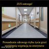 Bo wcześniejsza emerytura PiSu, to mniejsza emerytura