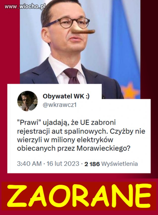 Gdzie te auta?