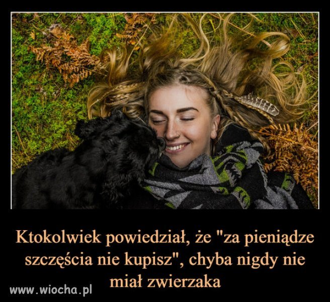 Pozytywny wpływ zwierząt na człowieka