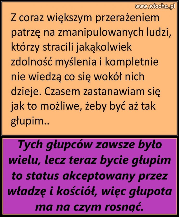 Jak widać niemożliwe jest tylko połknięcie rozłożonego parasola. 