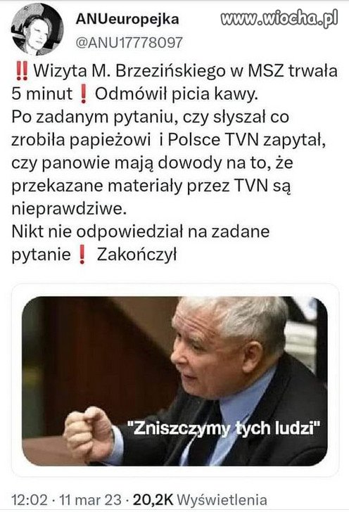 Dno z dna PiSu , profesjonaliści z marginesu...