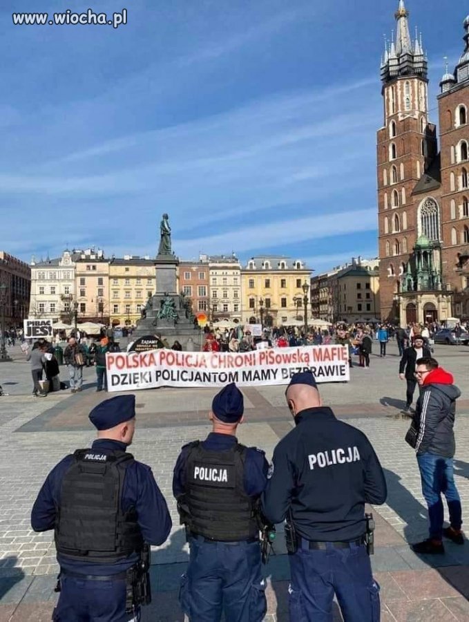 Ten transparent mówi prawdę bo policja zamiast aresztować to chroni tych złodziei!