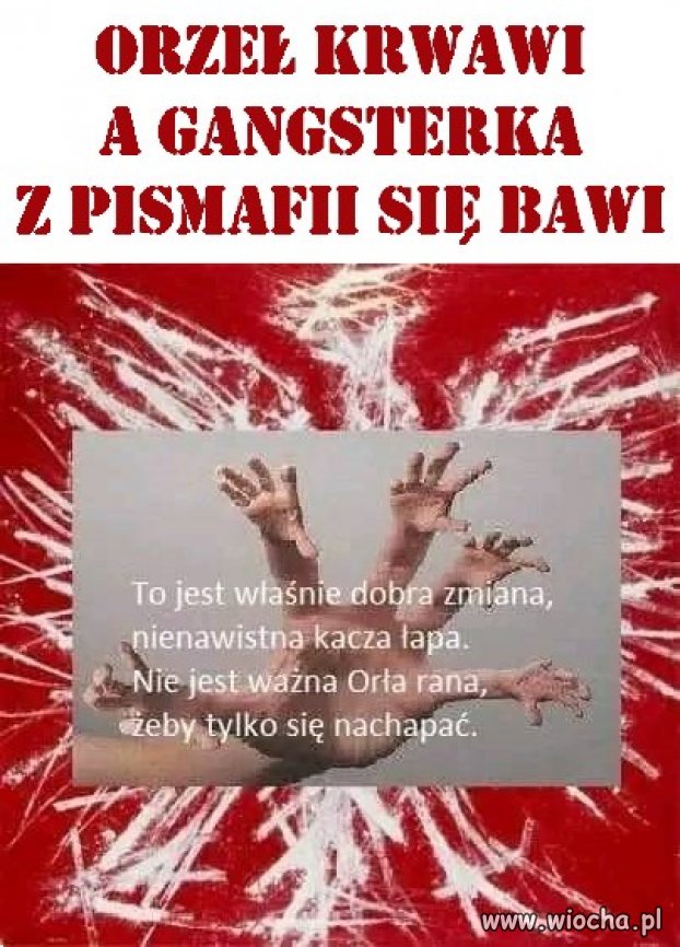 Orzeł krwawi a gangsterka z PiSmafii się bawi