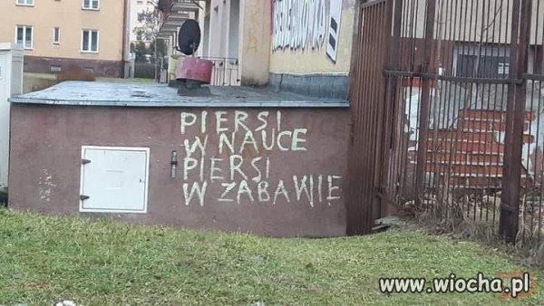 Piersi w nauce, piersi w zabawie