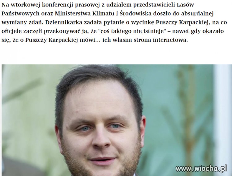 Przy takim tempie wycinania lasów