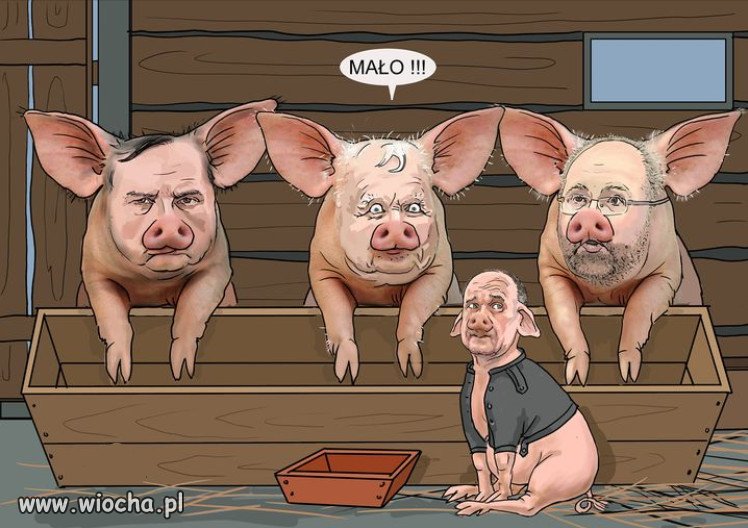 Zjednoczeni przy korycie...a koryto juz puste!