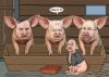 Zjednoczeni przy korycie...a koryto juz puste!