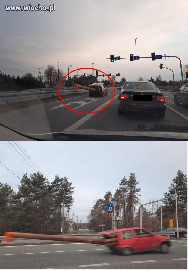 Ładowny skubaniec