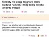 Tylko PiS i kk.