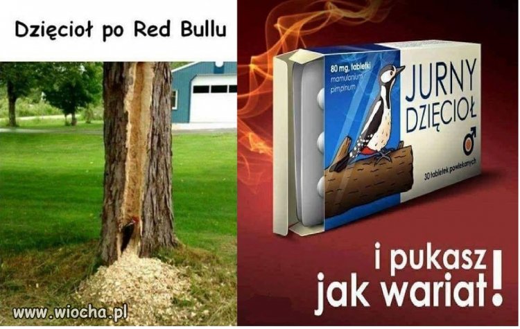 Poszalał sobie