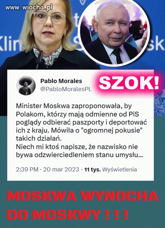 Pi3rdolnięta stara krowa