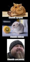 Chomiki.