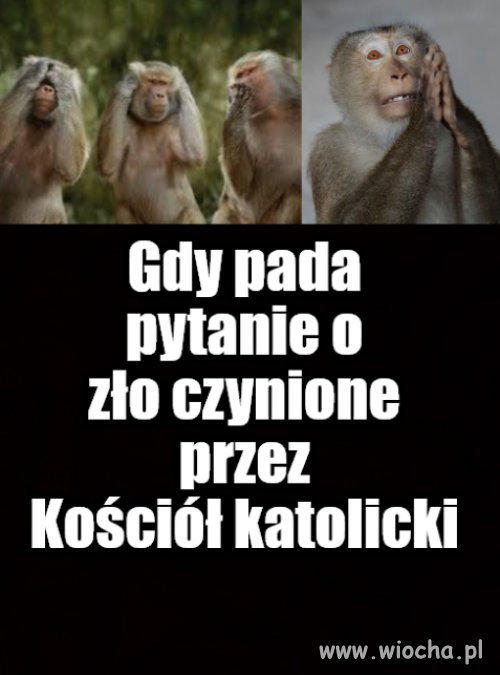 Statystyczy pożeracz chlebka tak ma.