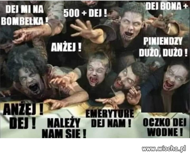 Ruszyła kampania wyborcza