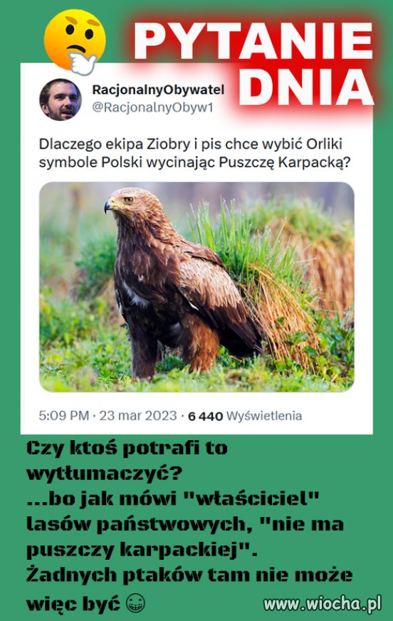 To się w pale nie mieści