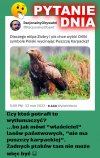 To się w pale nie mieści